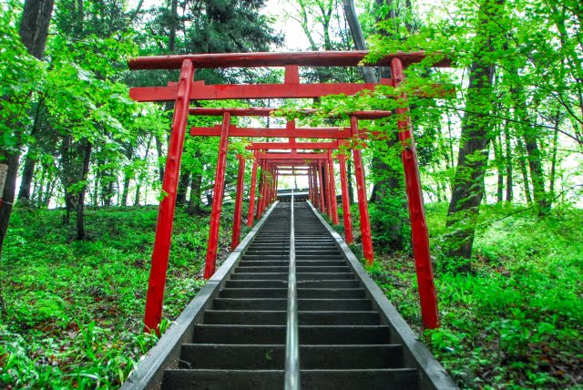 初詣2021キャッシュレス賽銭やオンラインおみくじの方法は?どこの神社できる?