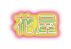 草笛光子の新恋人の馴れ初めは 出会いの場所の花屋はどこ 気になりました