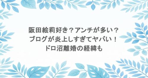 阪田絵莉好き？アンチが多い？ブログが炎上しすぎてヤバい！ドロ沼離婚の経緯も