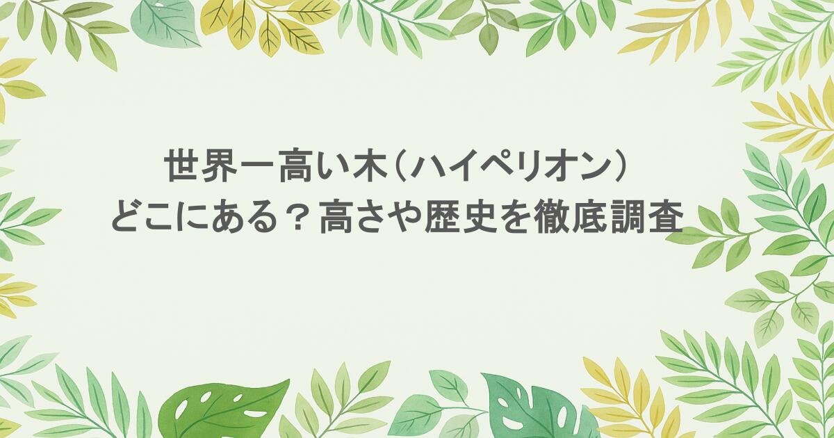世界一高い木（ハイペリオン）はどこにある？高さや歴史を徹底調査