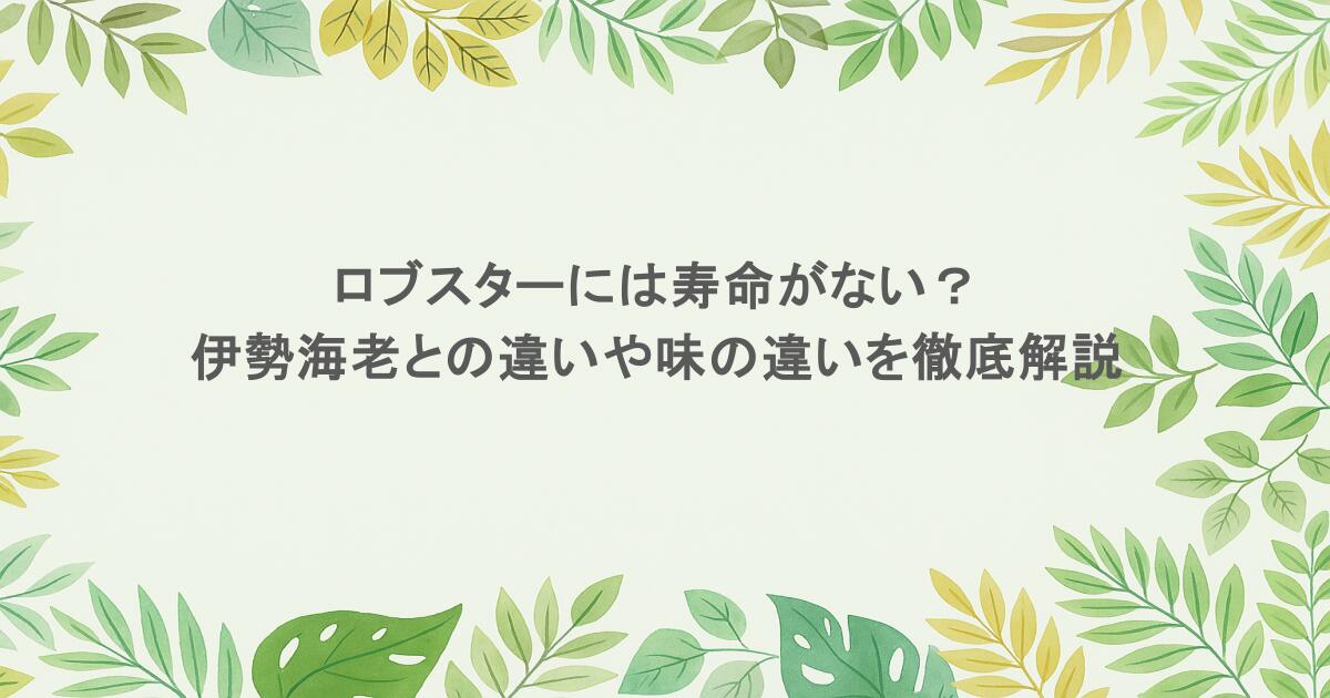 ロブスターには寿命がない？伊勢海老との違いや味の違いを徹底解説